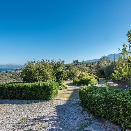 Olive Garden Vila Exopoli Bagian luar foto